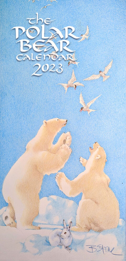 2023 Polar Bear Calendar – 13 Months | The Polar Bear Gallery