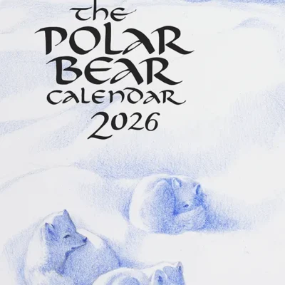 2026 Polar Bear Calendar -  40th Anniversary
