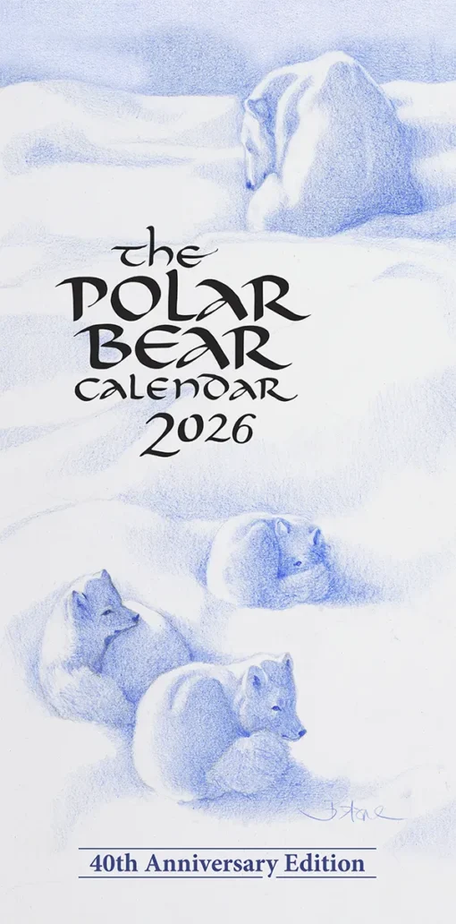 2026 Polar Bear Calendar -  40th Anniversary